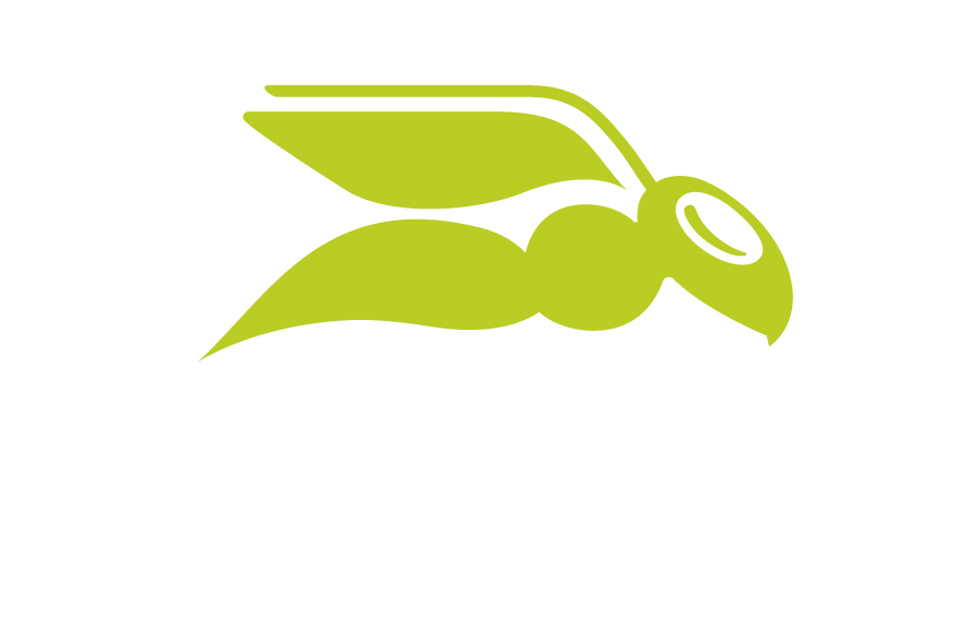 Hornetsecurity