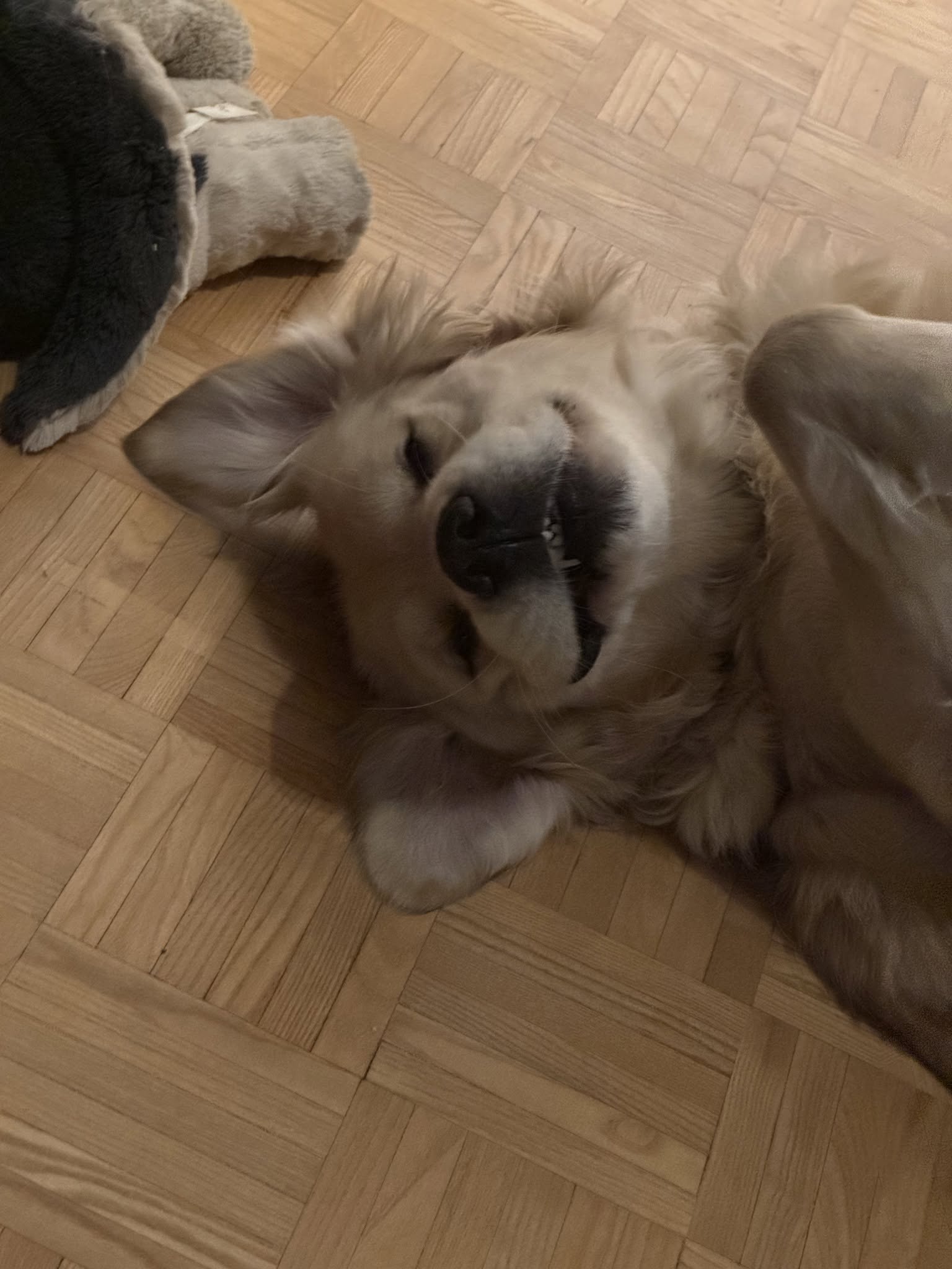 Thor